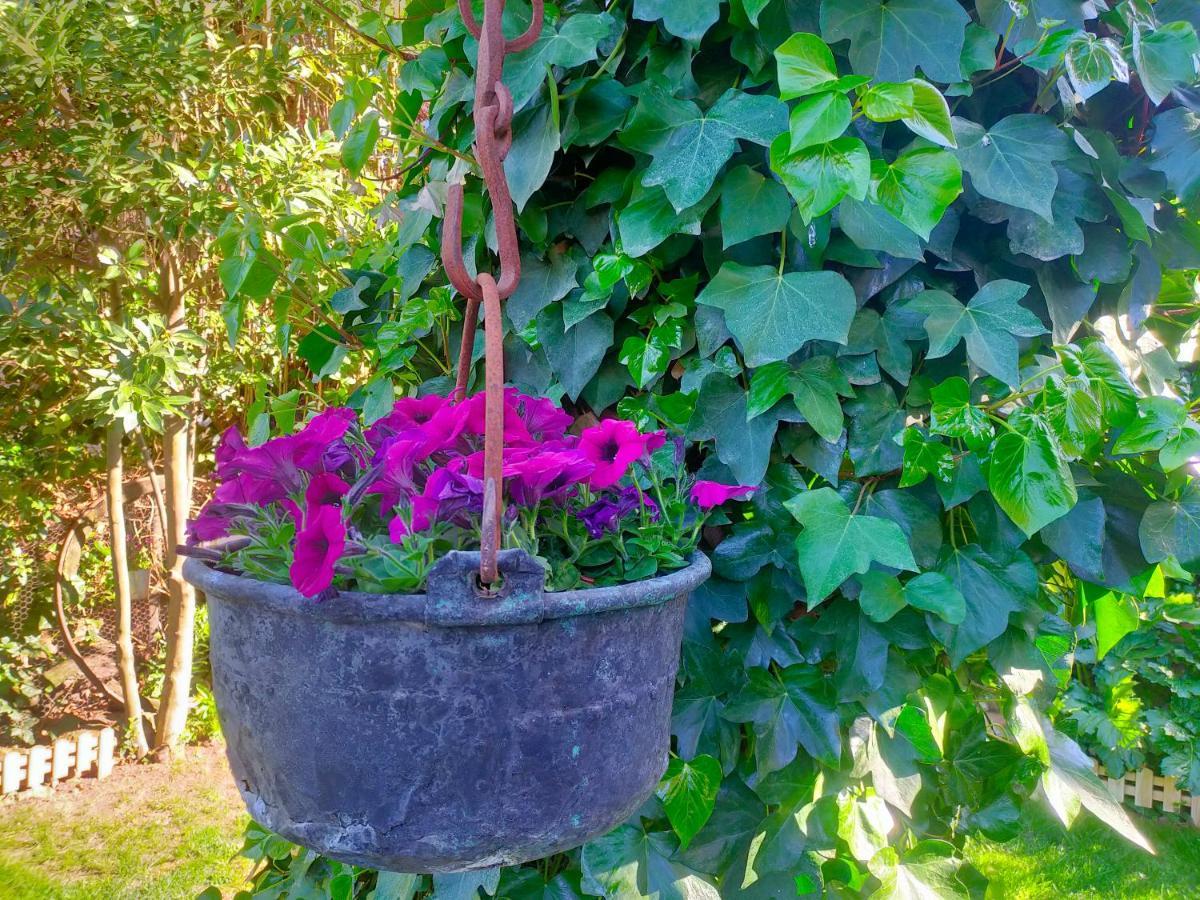 Loft & Garden Villa Ventosa  Dış mekan fotoğraf